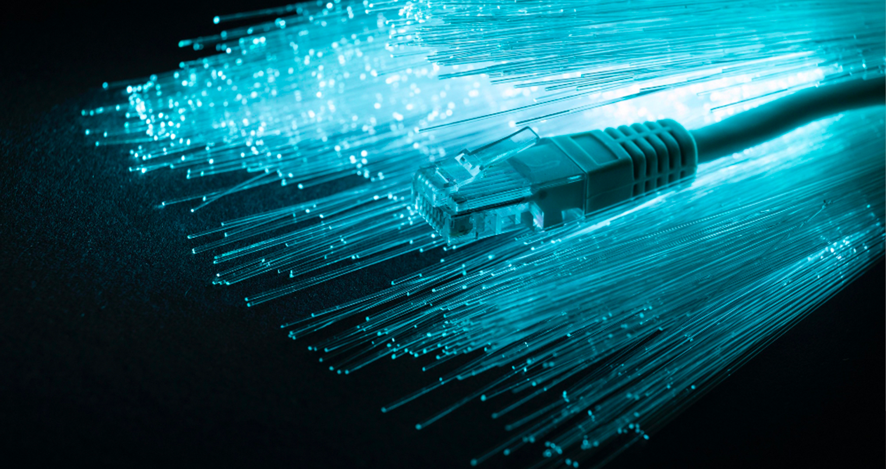 Qu'est ce que la fibre dédiée FTTO